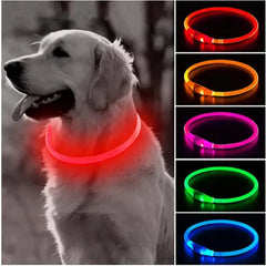 Safety Flashing Glow Dog Collar